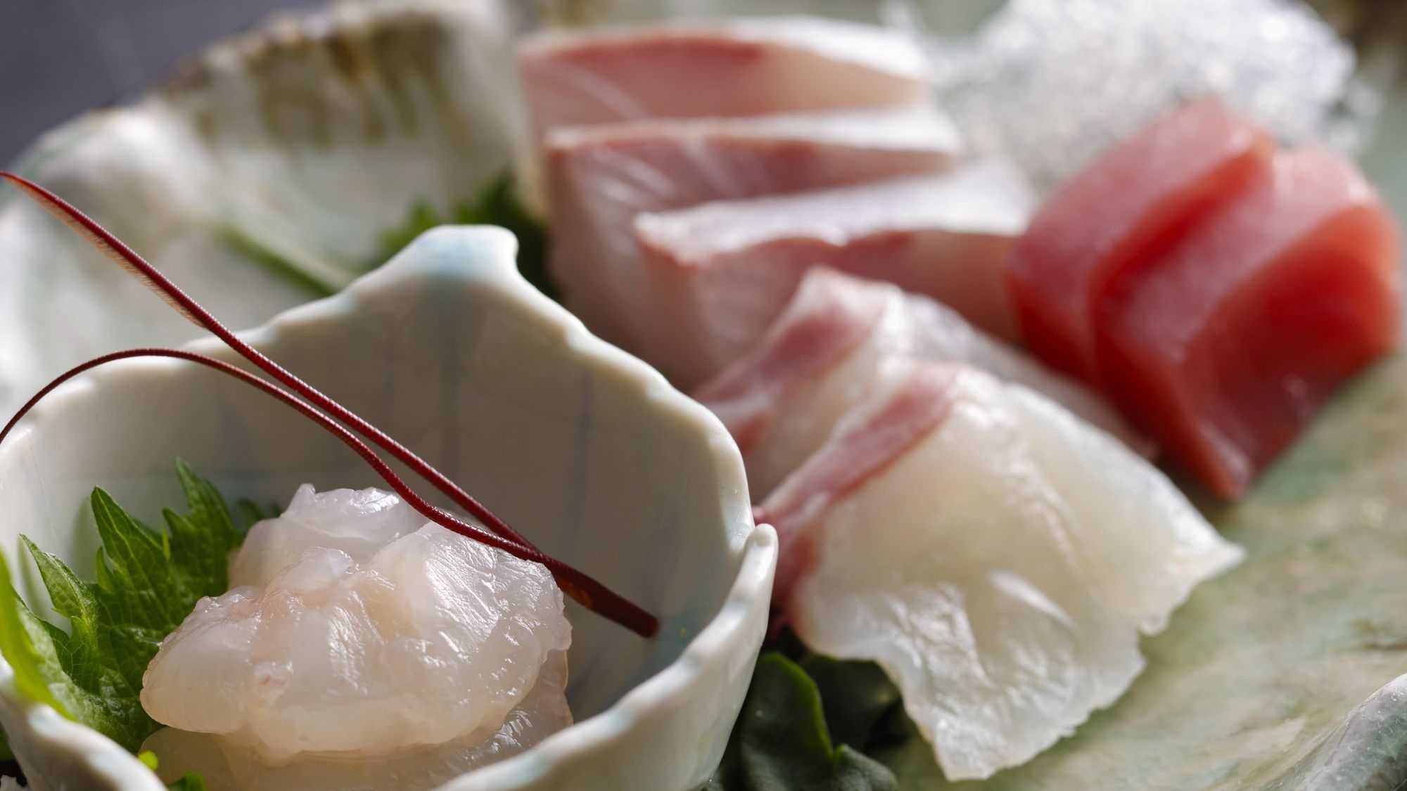 【特選会席プラン】伊勢志摩の海の幸と黒毛和牛に舌鼓み【ペット可】