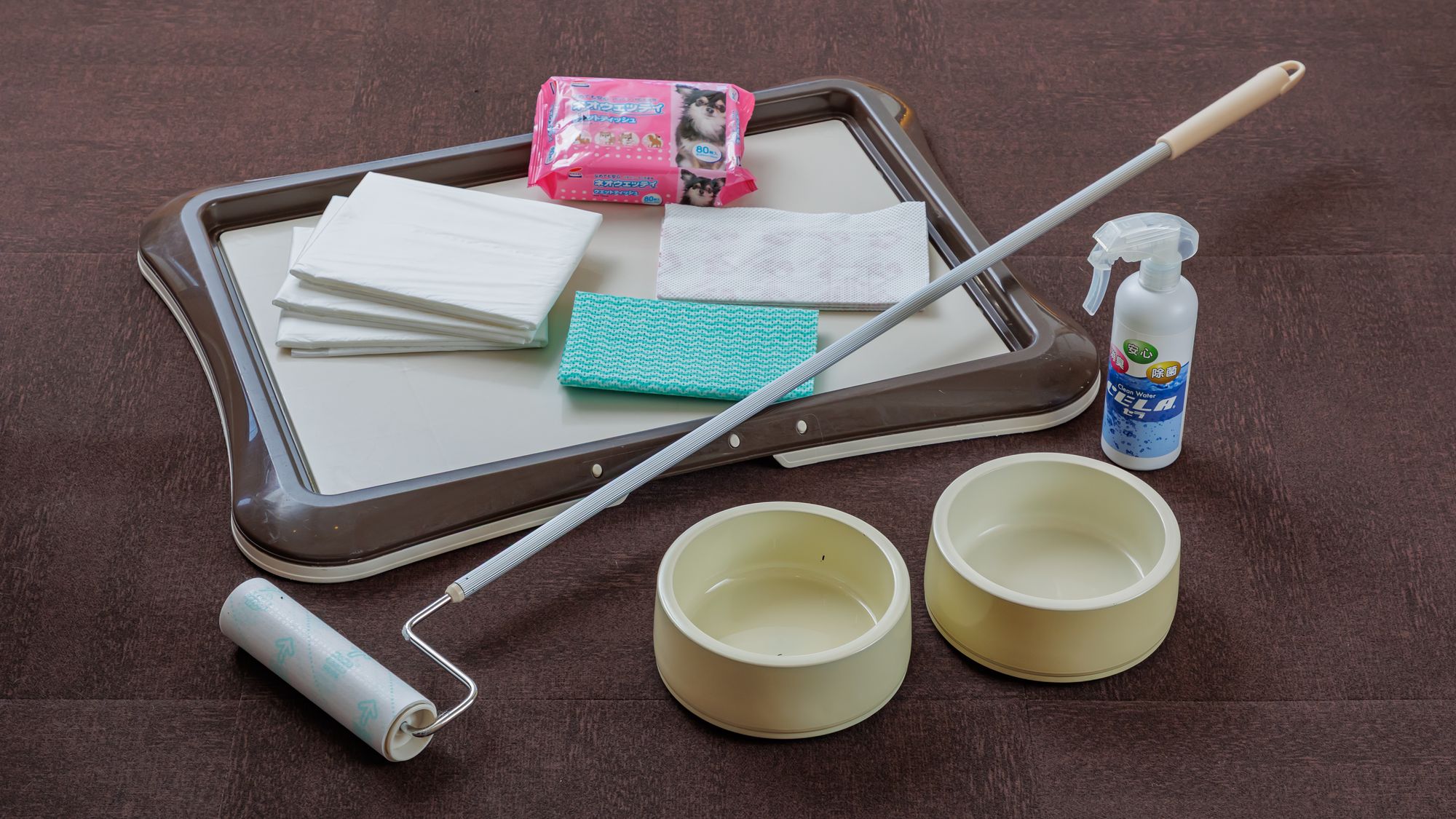 青い空と海に囲まれる愛犬のためのリゾートホテル。