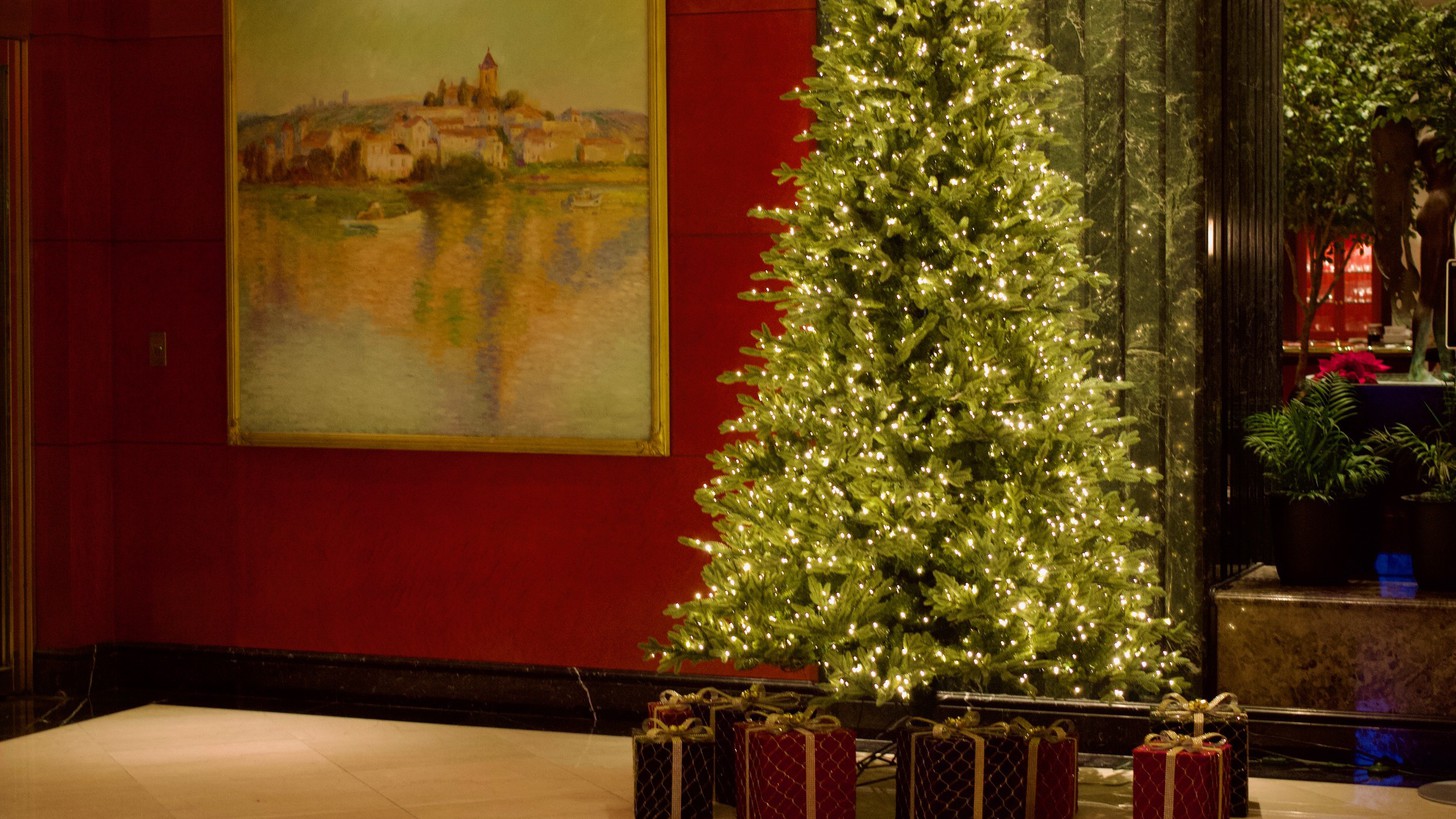 【Xmas2025】 中国料理「桃園」聖誕節ディナー17時入店＆１２時チェックアウト（夕食付）