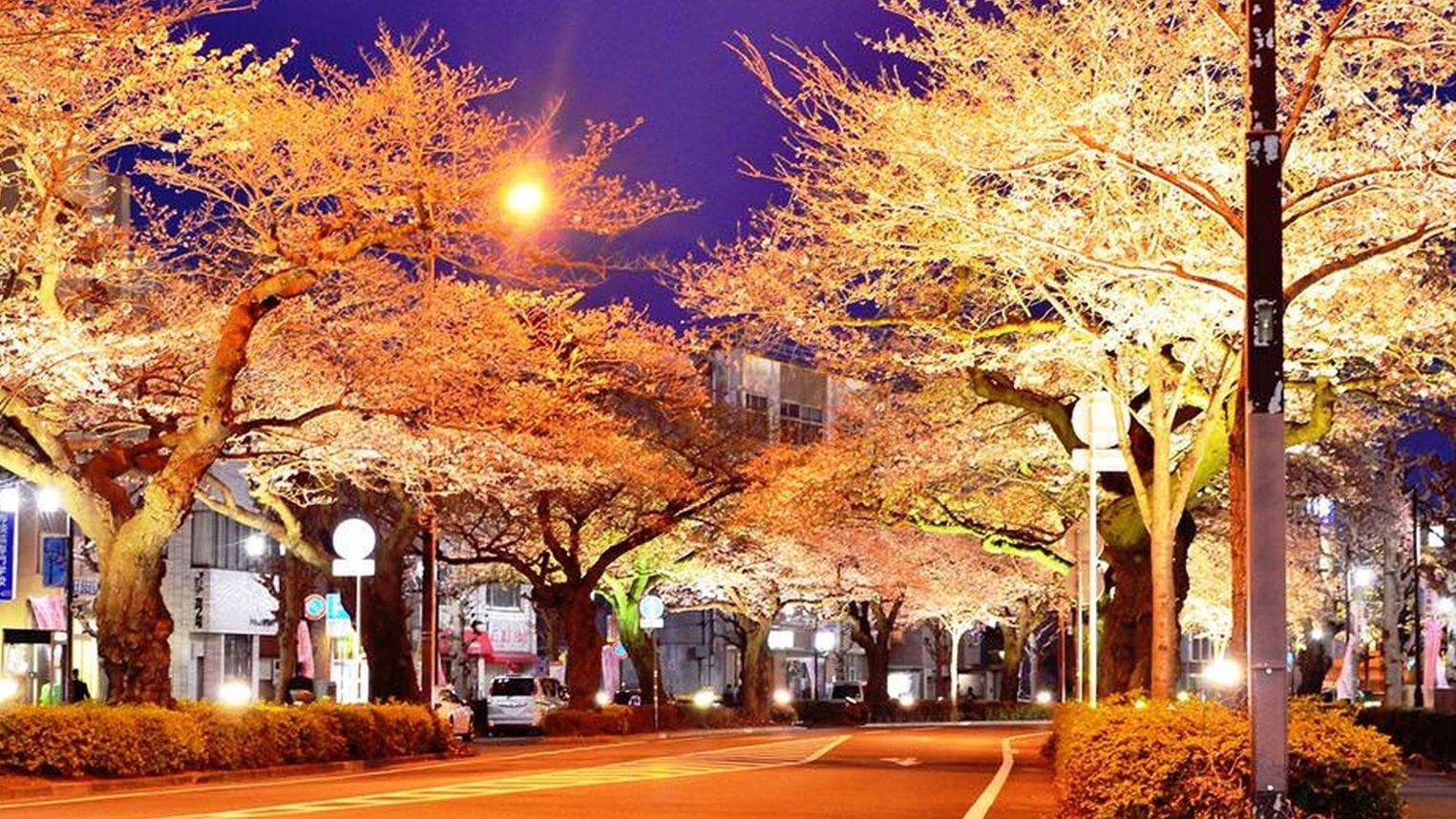 【駐車場利用不可／朝食付き】さくらまつり期間専用プラン（無料Wi-Fi完備）