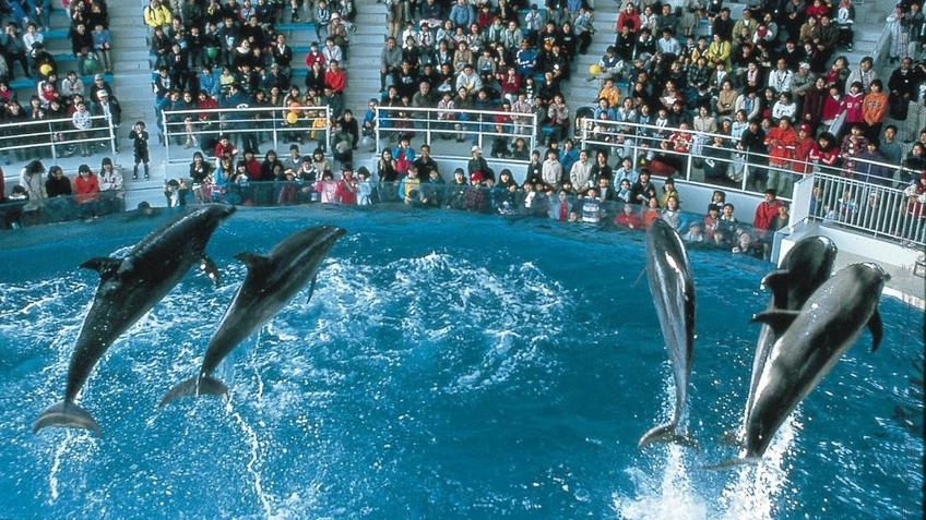 【朝食付き】海響館♪しものせき水族館♪入館券付きプラン