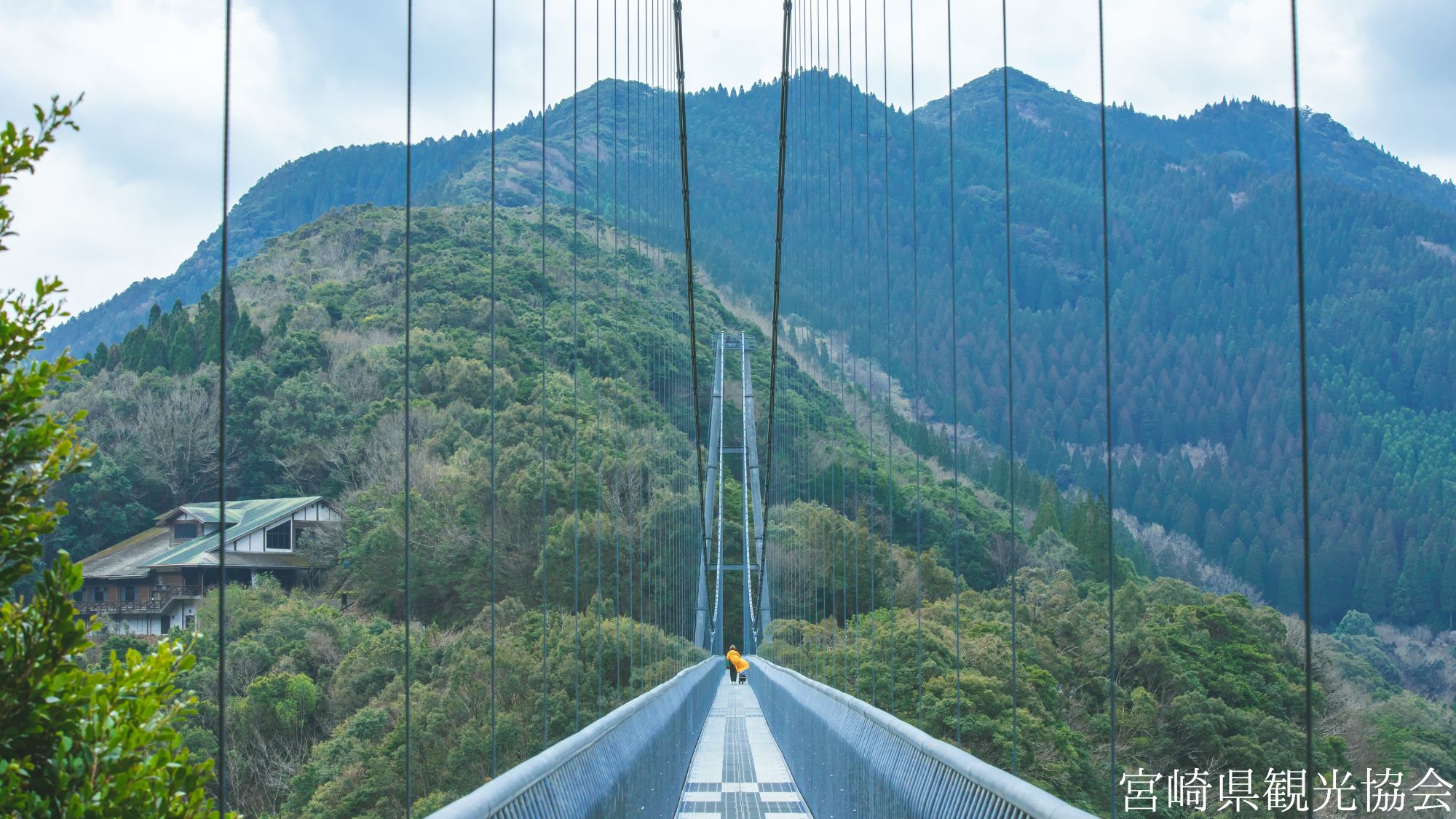 【観光画像】綾の照葉大吊橋