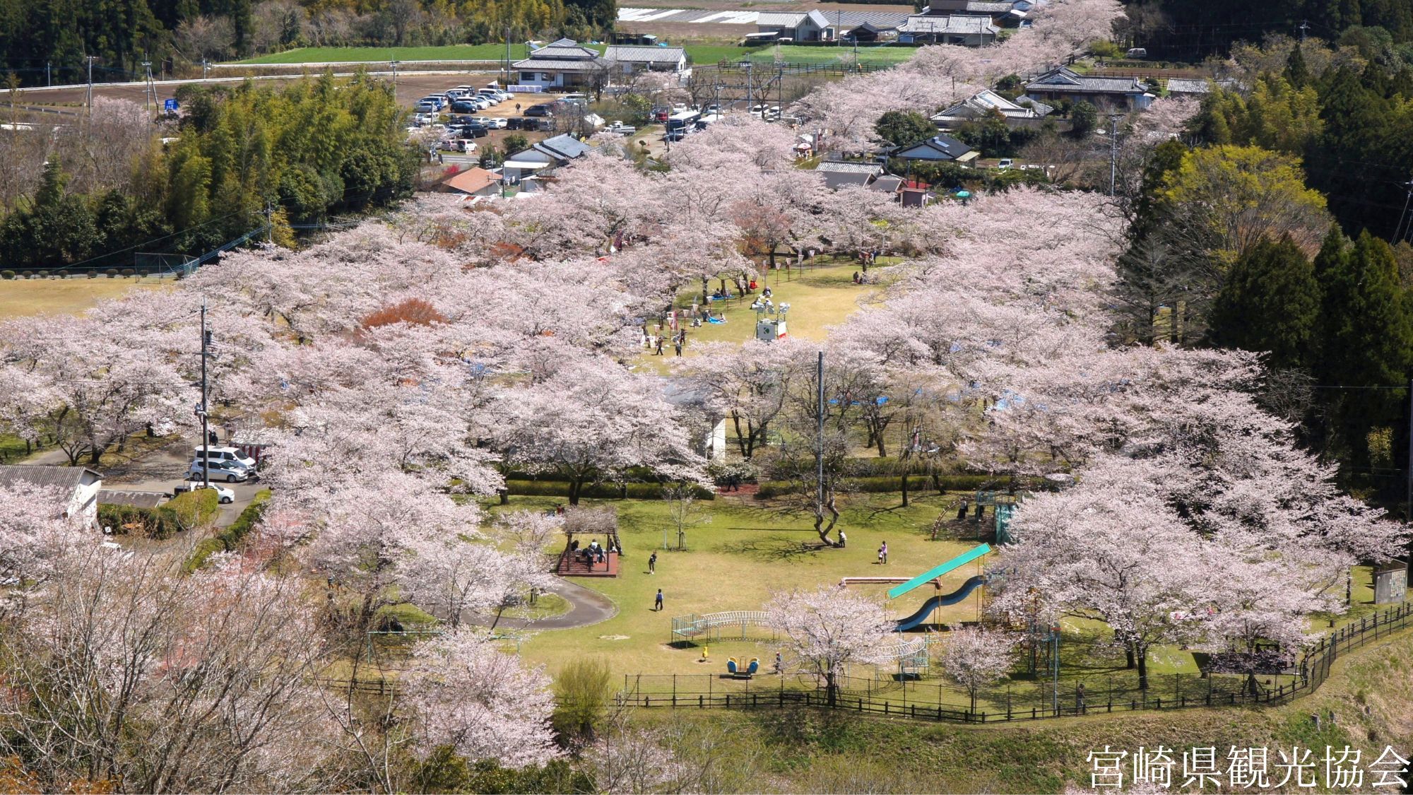 【観光画像】母智丘公園