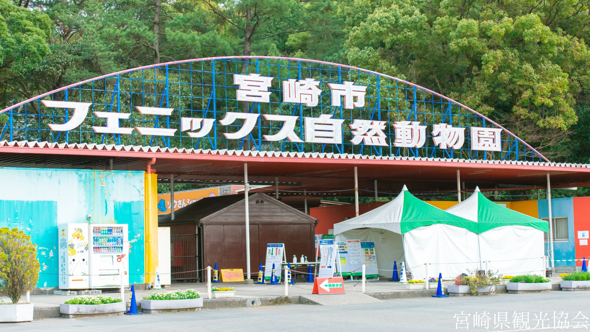 【観光画像】宮崎市フェニックス自然動物園(宮崎市)
