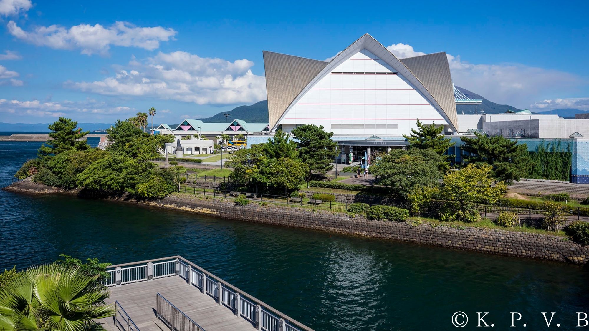 【観光画像】かごしま水族館いおワールド