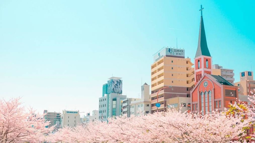 【生田川・桜並木】新神戸駅前から当館近所を流れる生田川はお花見の穴場スポットです