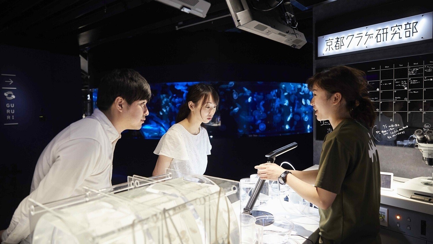 〜京都水族館のいきものたちに会いに行こう〜京都水族館・展望室入場券付きプラン〜食事なし〜