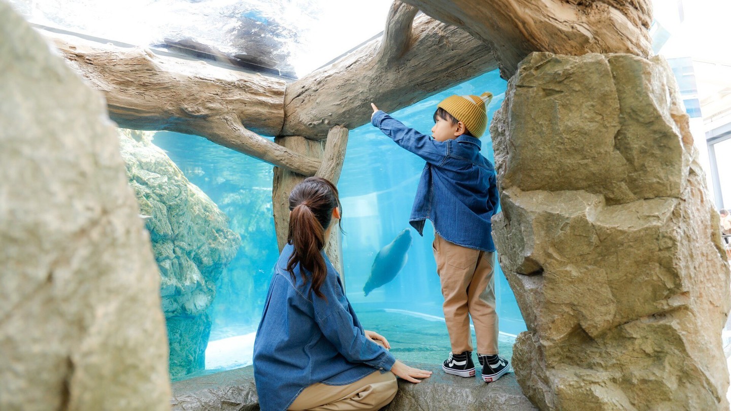〜京都水族館のいきものたちに会いに行こう〜京都水族館・展望室入場券付きプラン〜食事なし〜