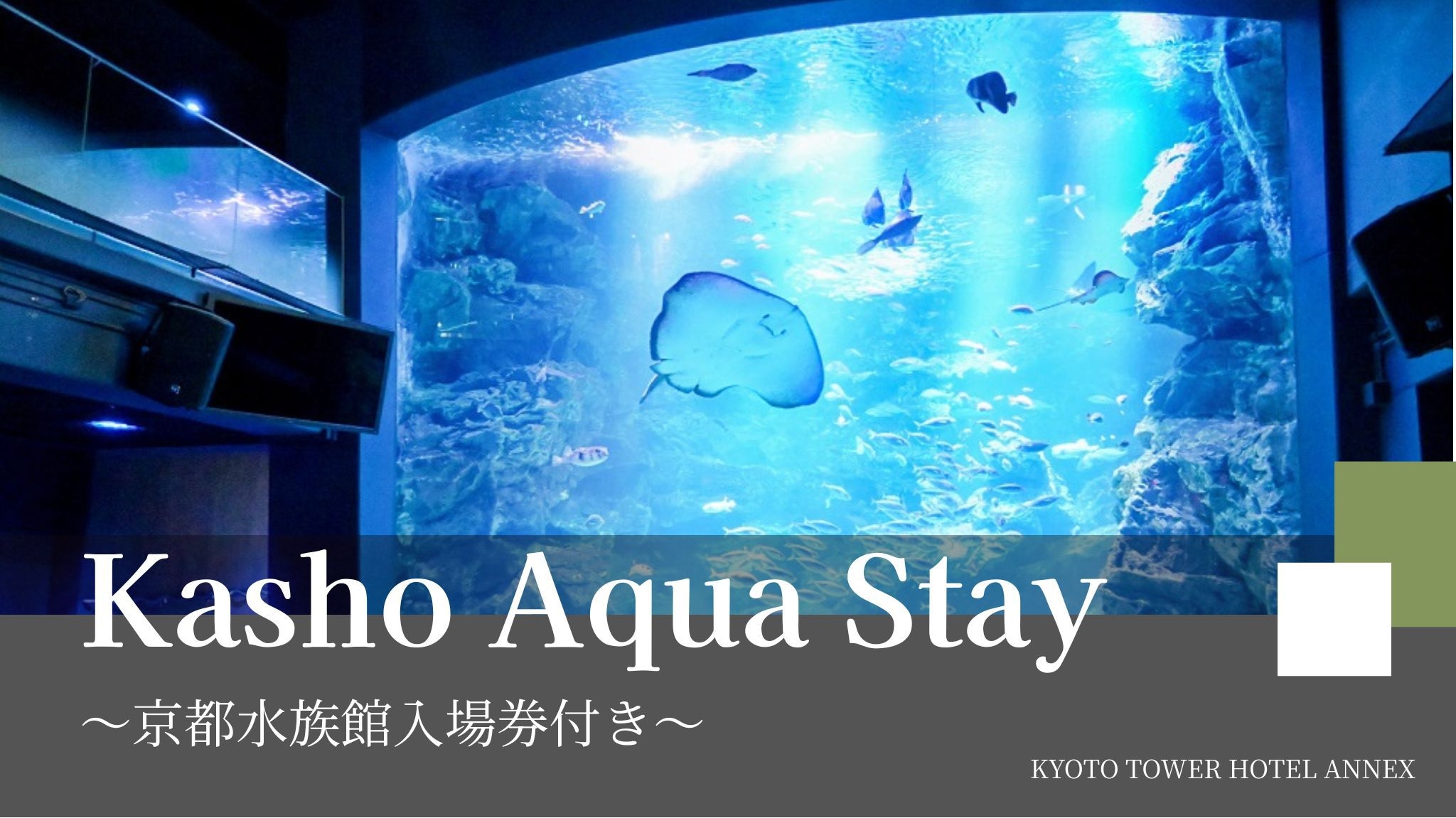 〜京都水族館のいきものたちに会いに行こう〜京都水族館・展望室入場券付きプラン〜食事なし〜
