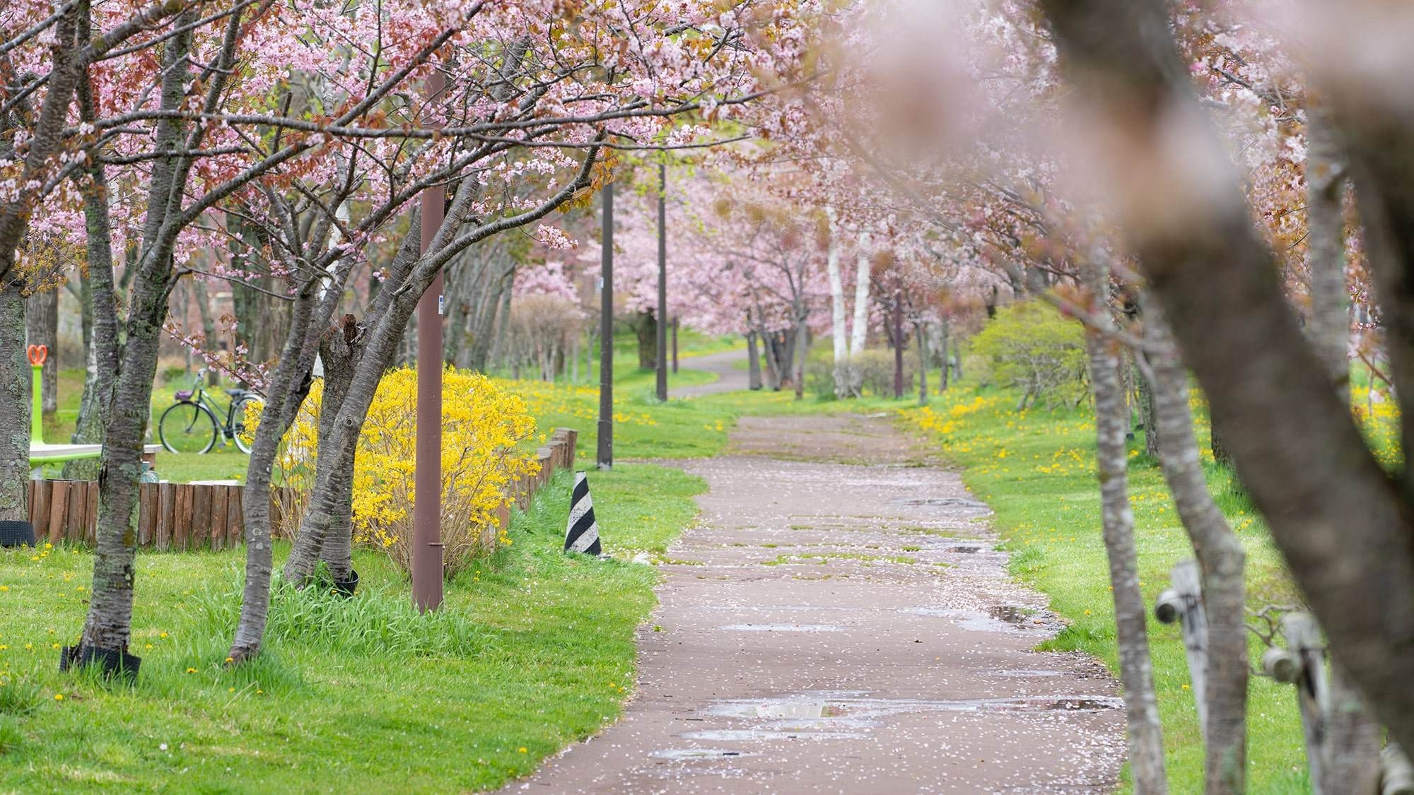 [GW期間限定]ひとり旅にオススメ！連泊プラン(素泊まり)