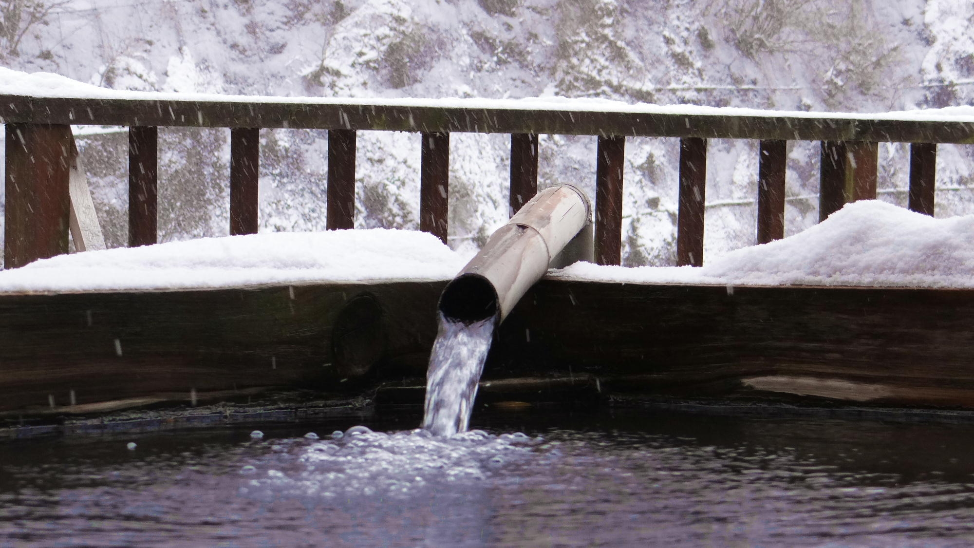 【エコノミープラン】上州もち豚ステーキ付き山郷会席1泊2食★群馬のブランド豚の美味しさを是非♪