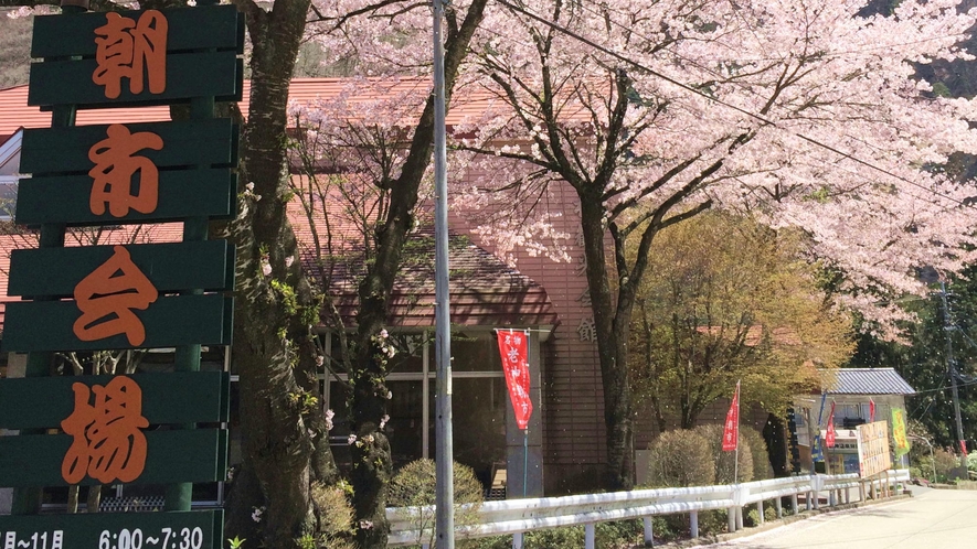 【朝市会場】朝市は6:00～7:30まで 毎朝開催！新鮮な地場産野菜や加工食品などが軒先に並びます。