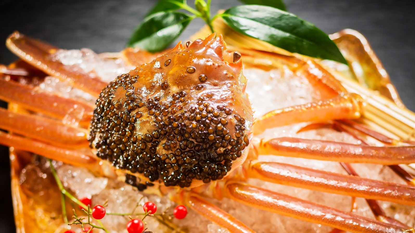 獲れたて〈活ズワイ蟹1人1杯〉を贅沢に。「甲羅味噌焼き×新鮮蟹刺し」で楽しむ至福のひととき