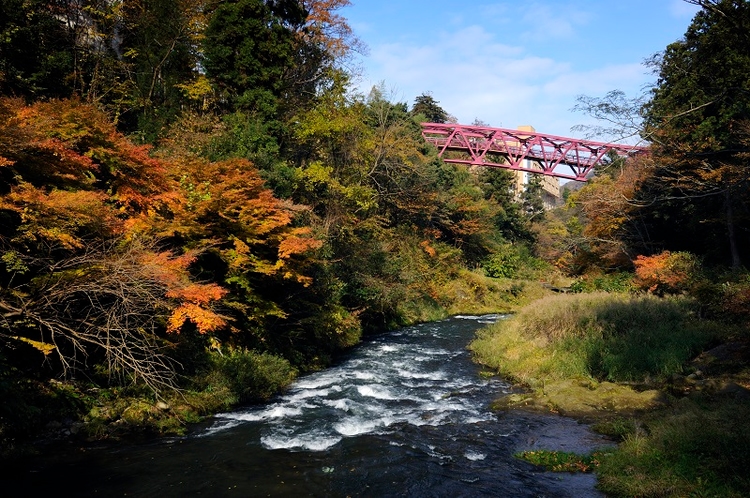 あやとり橋　紅葉