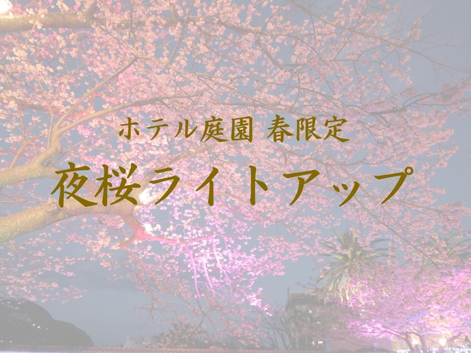 【庭園夜桜ライトアップ】春季限定