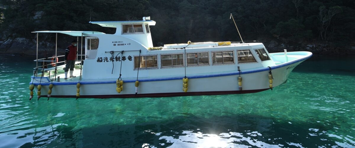 『竜串海域公園グラスボート乗船体験』付宿泊プラン