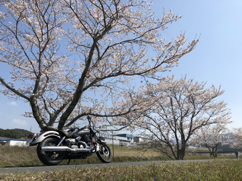 【バイクツーリング歓迎】屋根付駐車場確約ご宿泊プラン【ライダー歓迎】