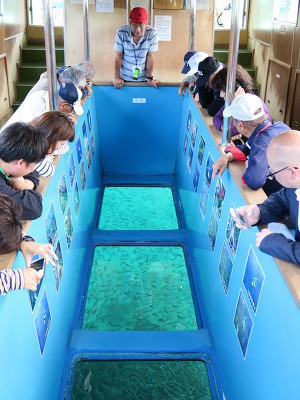 竜串海域公園　グラスボート（竜串観光汽船）