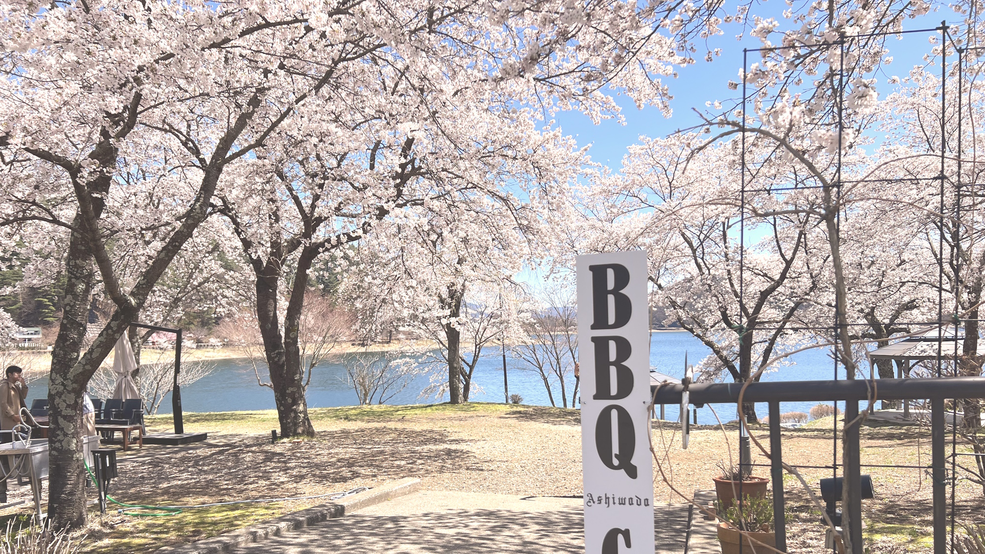 【景色】川口湖畔で桜を楽しめます♪