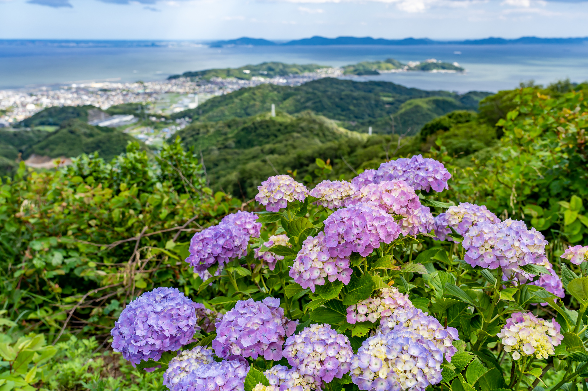 三ヶ根山からの眺め　初夏の三河湾