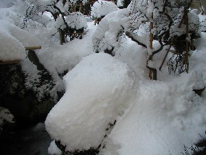 若葉旅館 - 写真 88