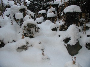 若葉旅館 - 写真 87