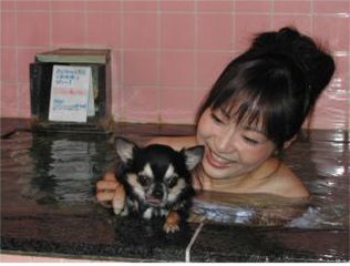 犬風呂