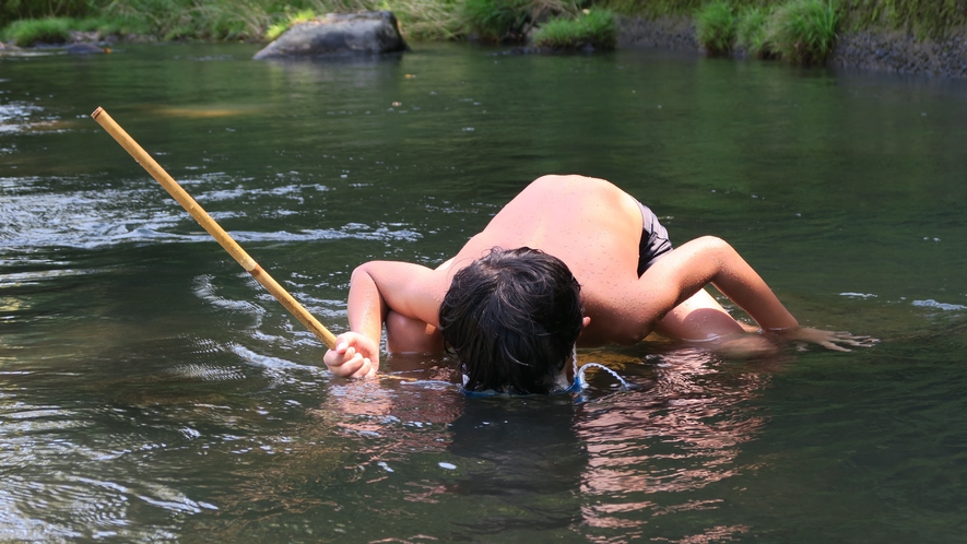 夏の川遊び