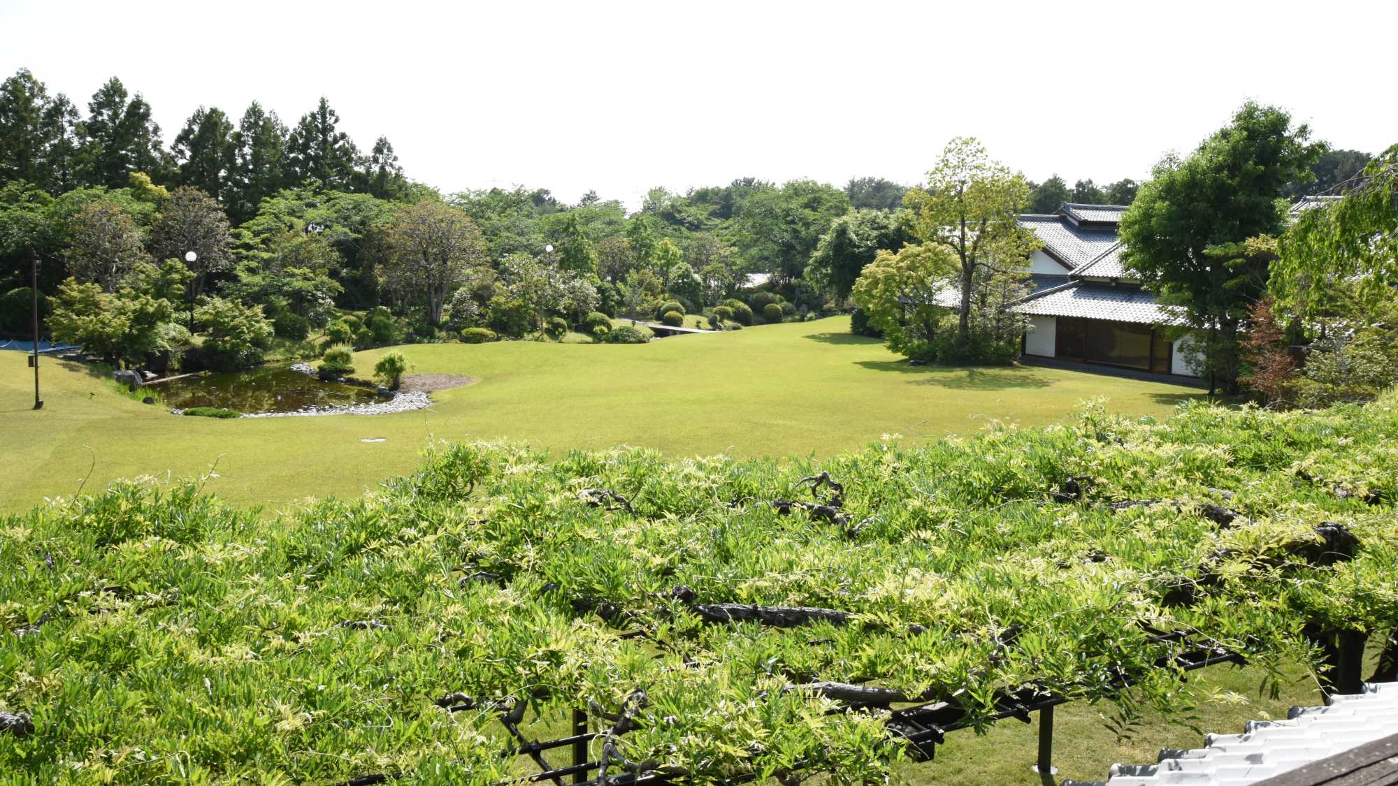 藤殿2階からの眺め