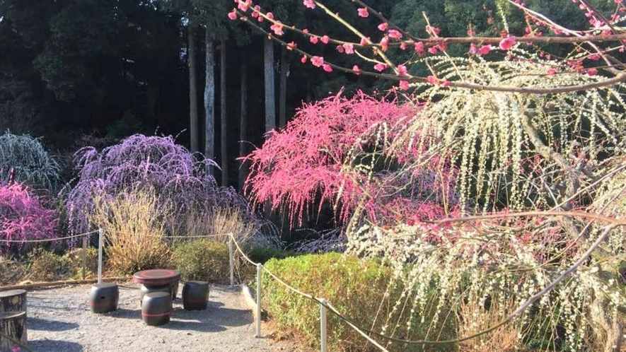 観光：龍尾神社