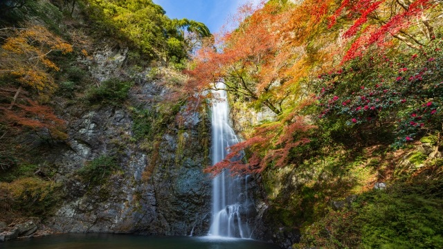 箕面の滝