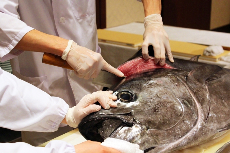 【11月22日限定】極上のマグロを味わう！マグロ解体ショー付プラン