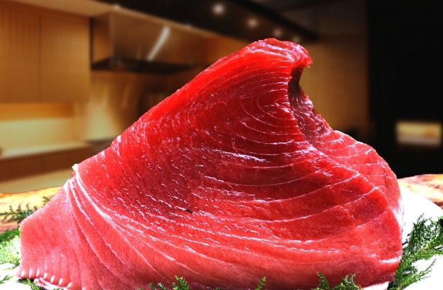 【11月22日限定】極上のマグロを味わう！マグロ解体ショー付プラン