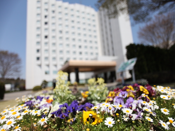 Hotel exterior flower