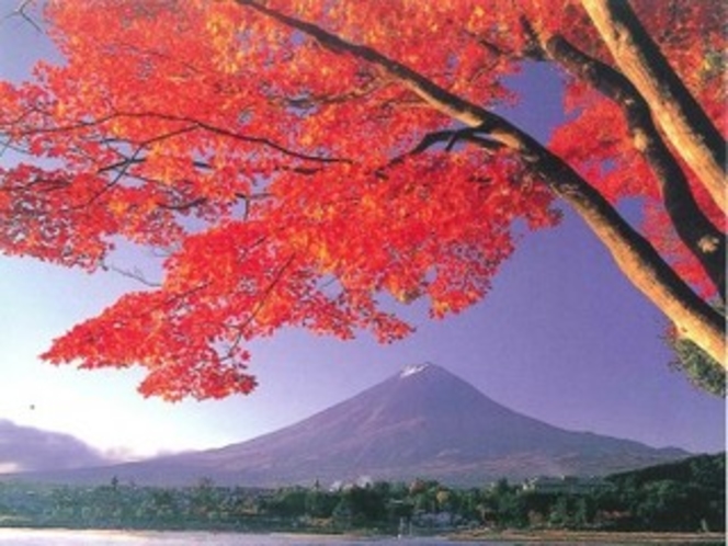 紅葉の富士
