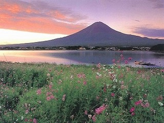富士山と秋桜（8〜9月）