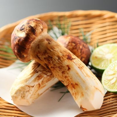 《松茸五品付プラン》秋の味覚を堪能　焼き松茸・土瓶蒸し・天麩羅・茶碗蒸し・松茸ご飯