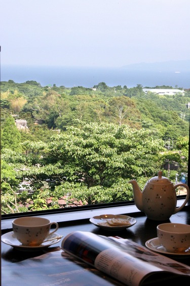 View from the room