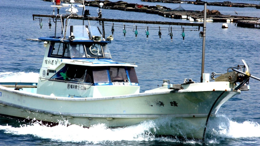 本格釣りでもご家族でも釣りを楽しめます