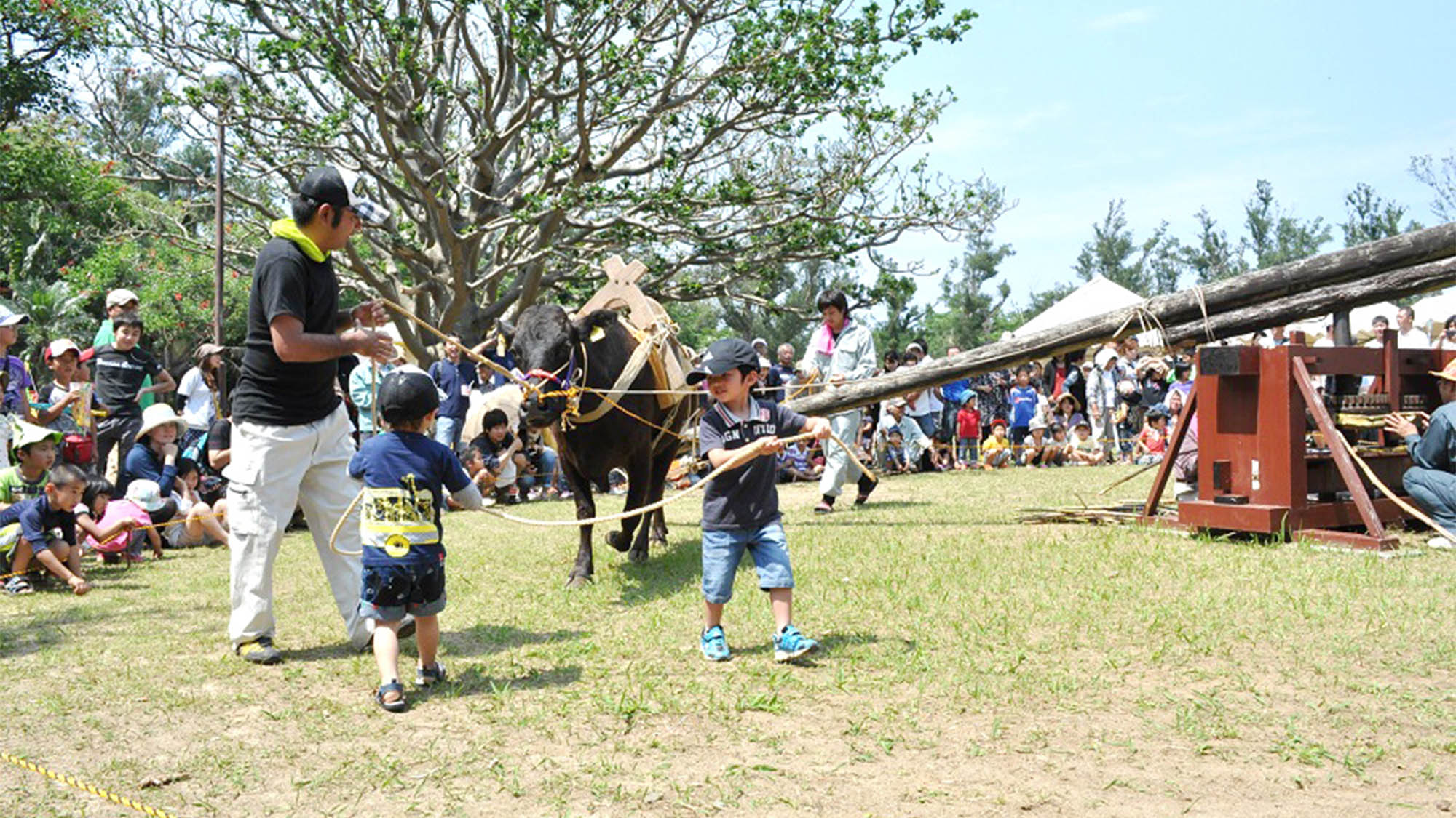 ・黒糖まつり；伝統の黒砂糖づくりを伝えるイベント
