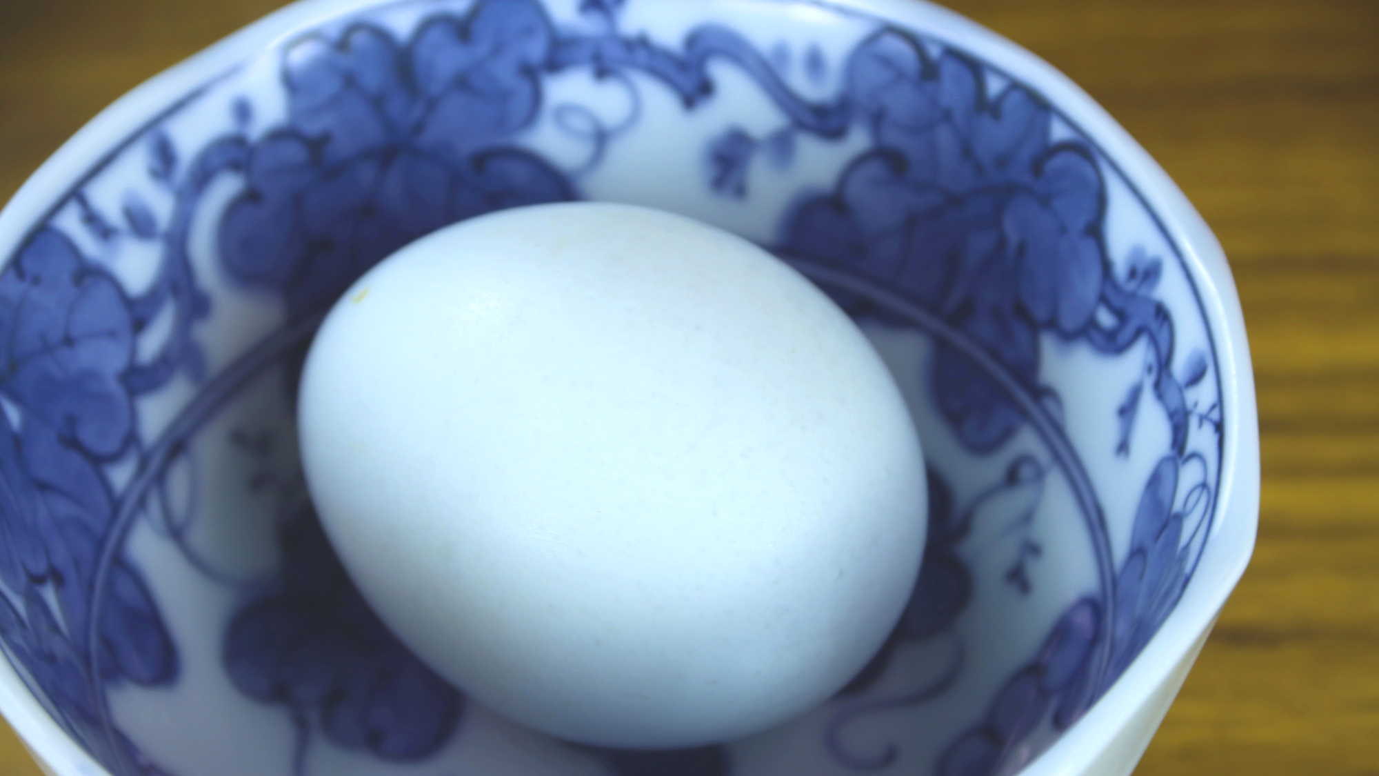 宿に住んでるニワトリから獲れた新鮮な生卵