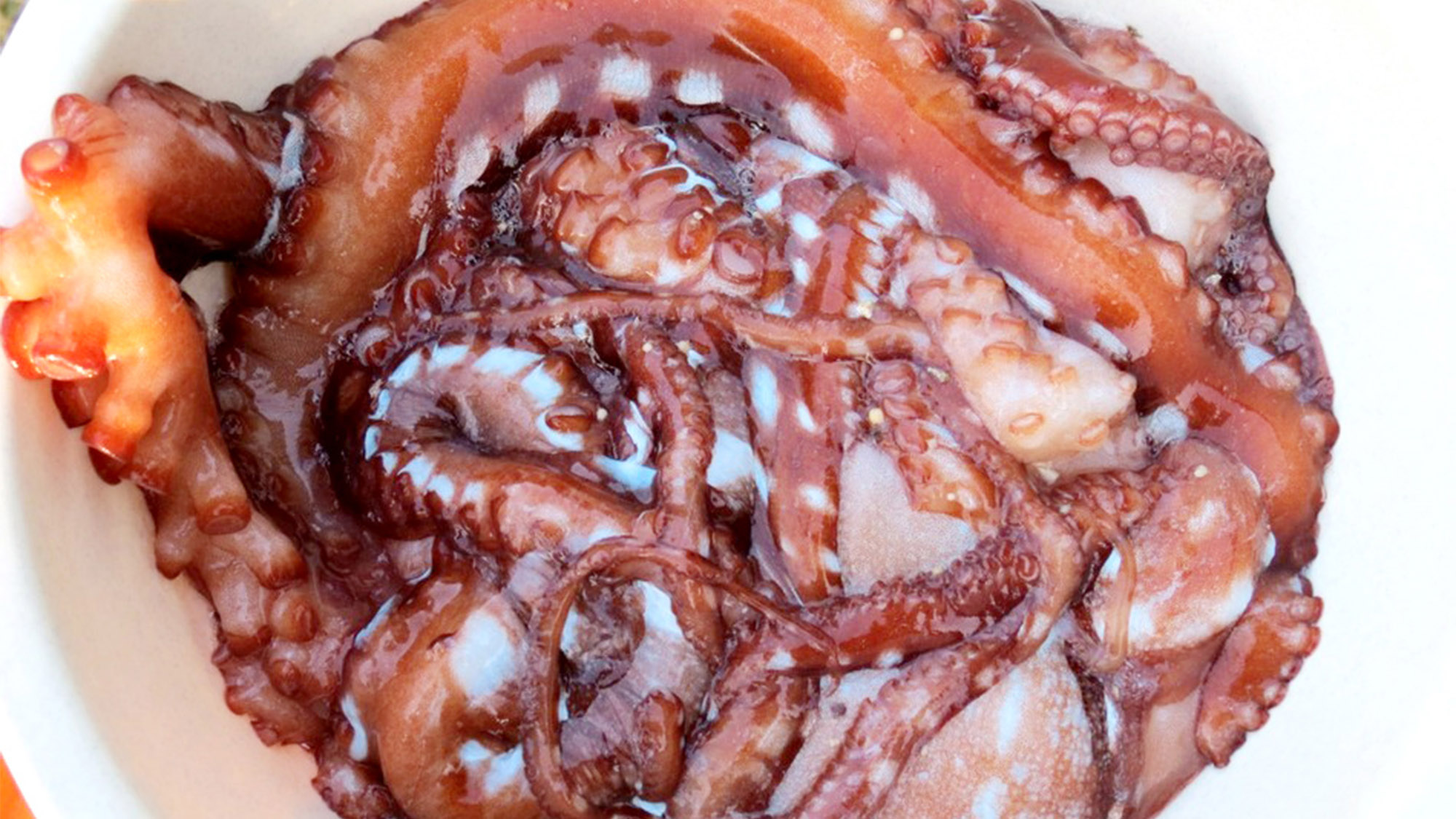 ・徳之島では小さな島タコのことをシガイと呼びます