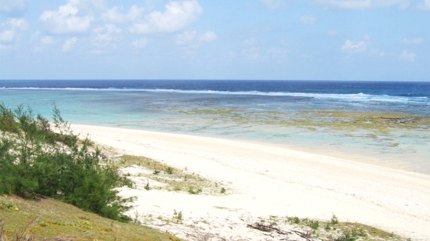 ・喜念浜：太平洋に面した島の南東側のビーチ