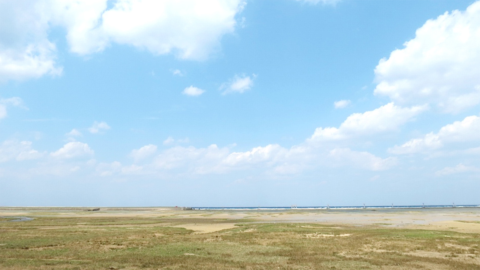 ・民宿からの眺め。島ならではの豊かな自然に囲まれています