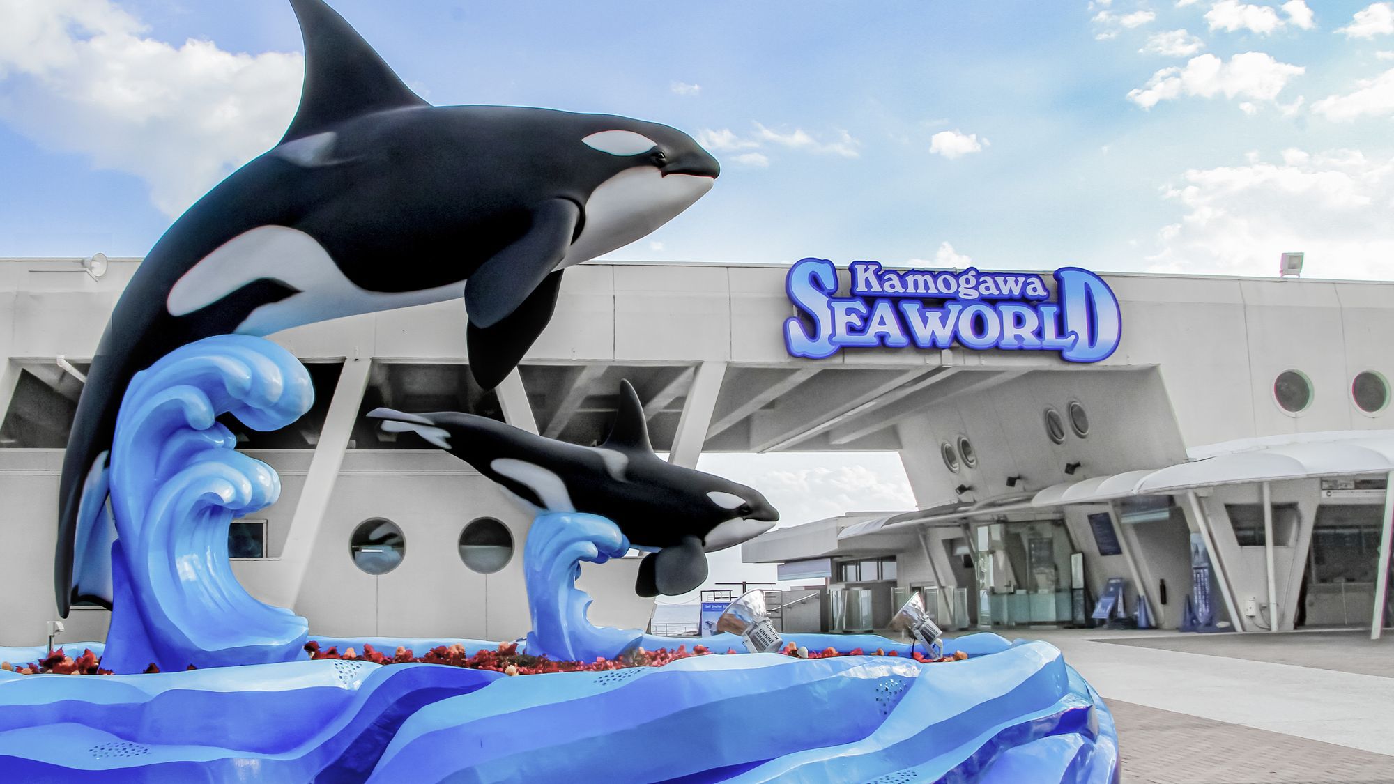  【鴨川SW入園券付き】ファミリーやカップルにオススメ！房総郷土料理も食べ放題！和洋ビュッフェプラン