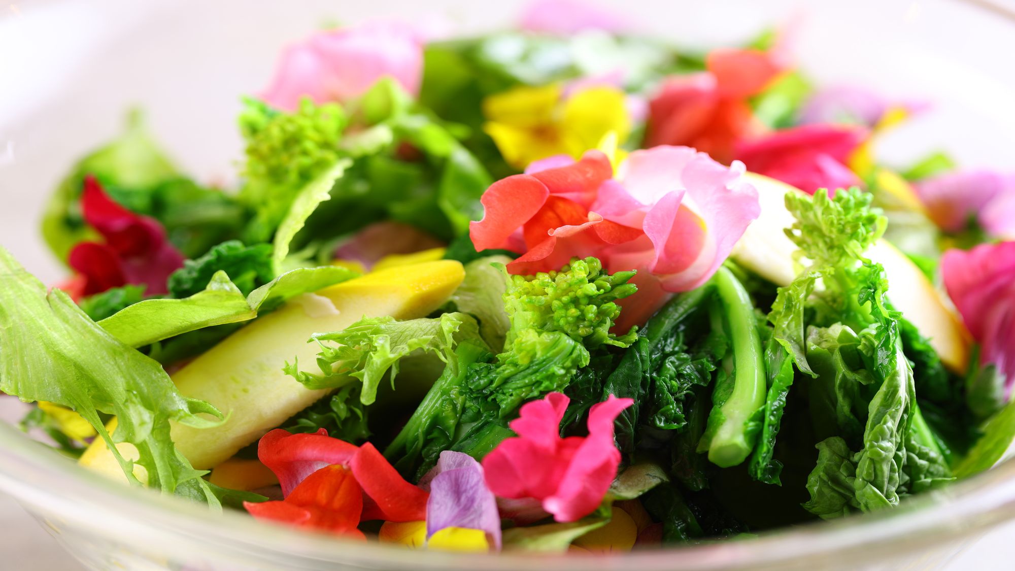 【ビュッフェメニュー】春（2026年3月～2026年5月）菜の花とエディフルフラワーのサラダ