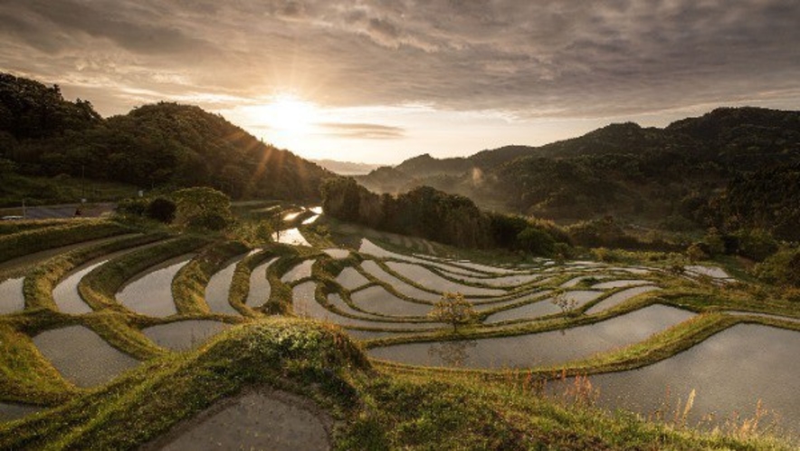 大山千枚田