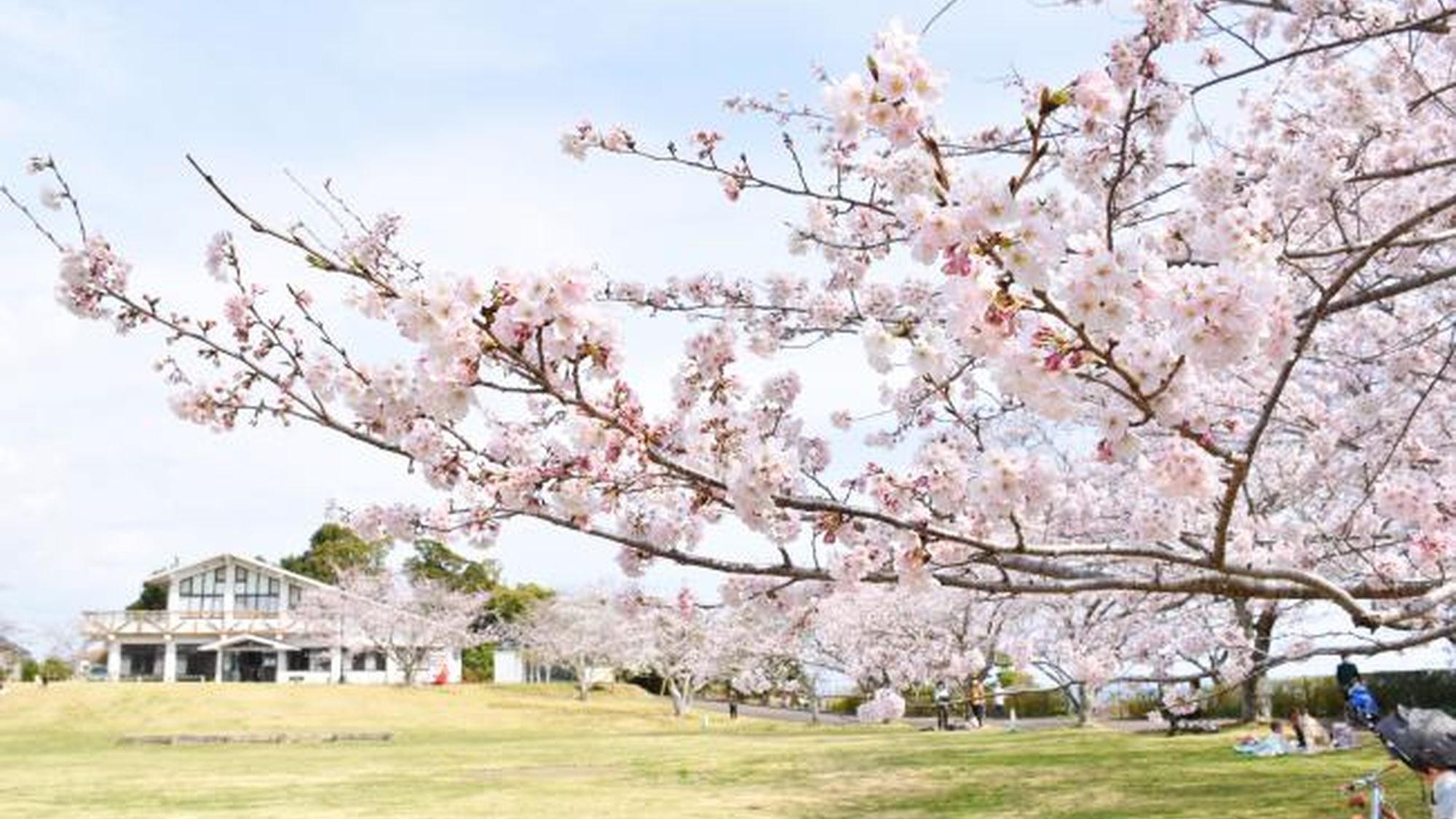 鴨川市　魚見塚一戦場公園