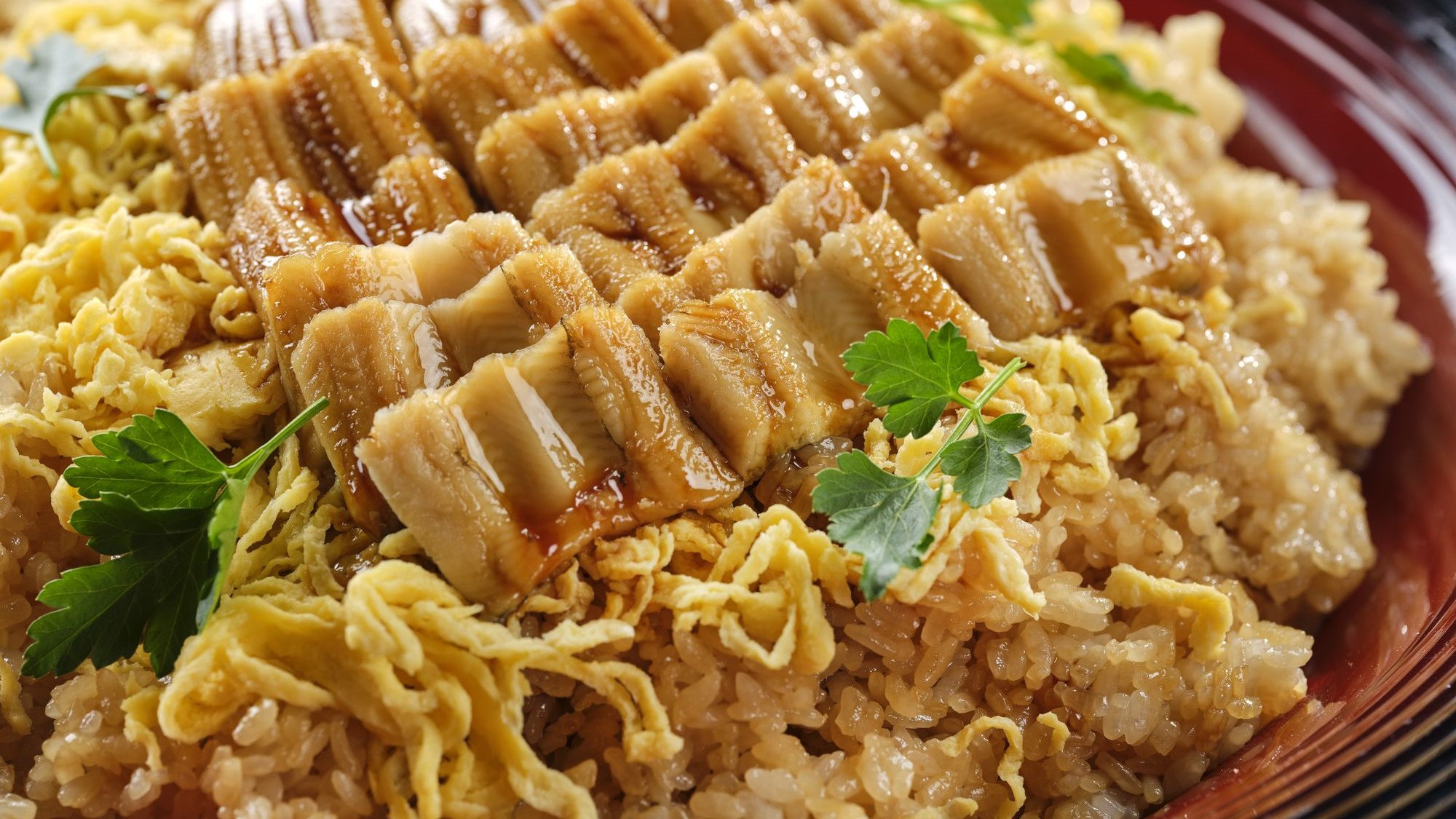 【ビュッフェメニュー】夏（2026年6月～2026年8月）富津市名産あなごのちらし