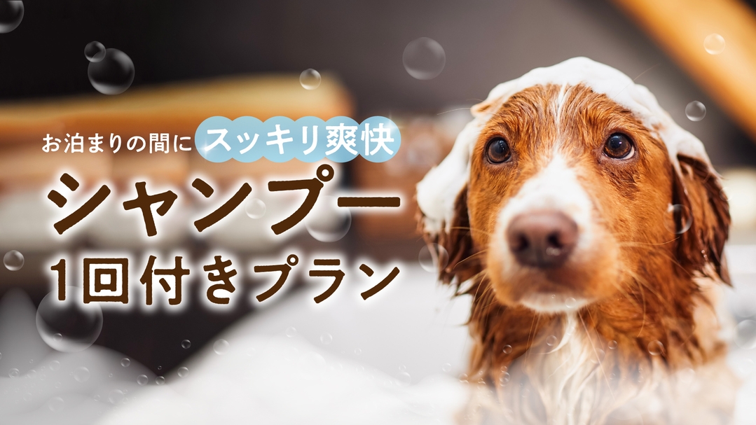 【愛犬と泊まろう】＼ワンちゃんもリフレッシュ／シャンプー1回付プラン　★モーニングステーキ付き